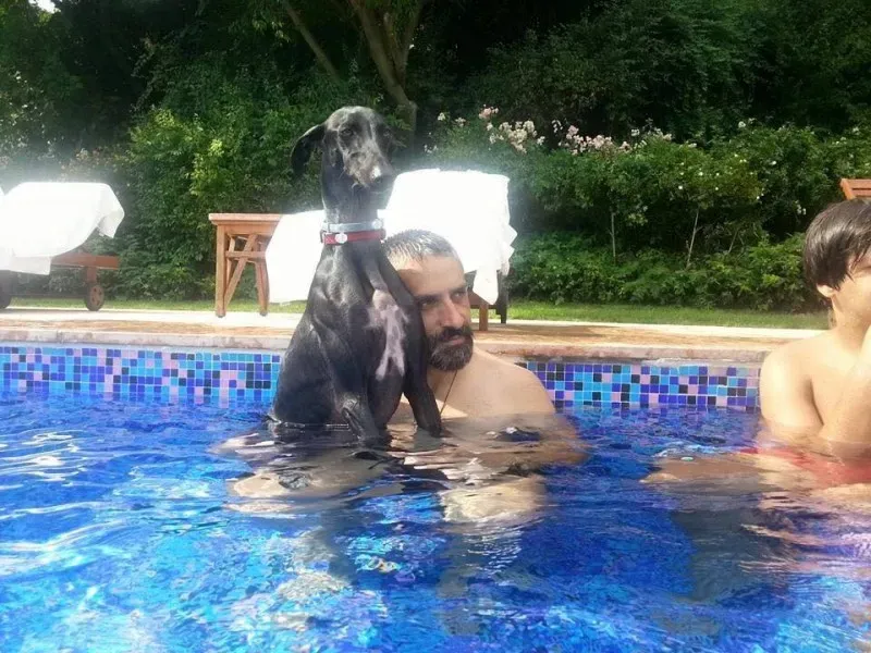 11700910 859554820795041 4864962865521545290 n