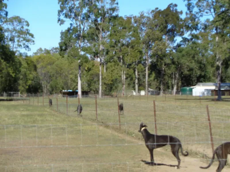 11700969 10153027355698354 7335754652534172452 o