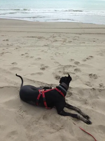 11702661 856921557725034 3682742861116977776 n