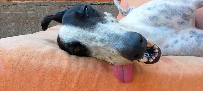 11702669 856511764432680 7598865693890540367 n