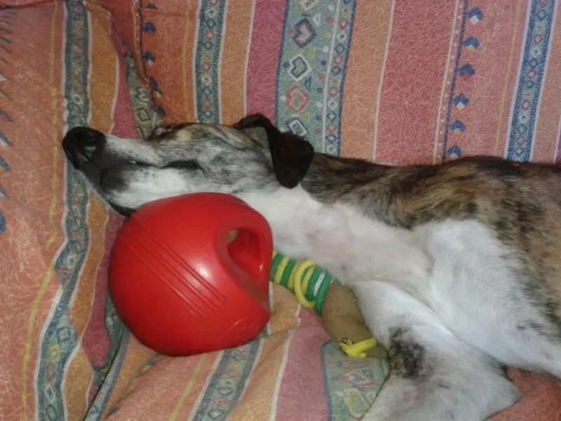 11703273 10204760152019983 6110429654612943927 o