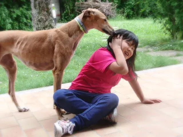 11705129 851390261611497 701360869875392829 n