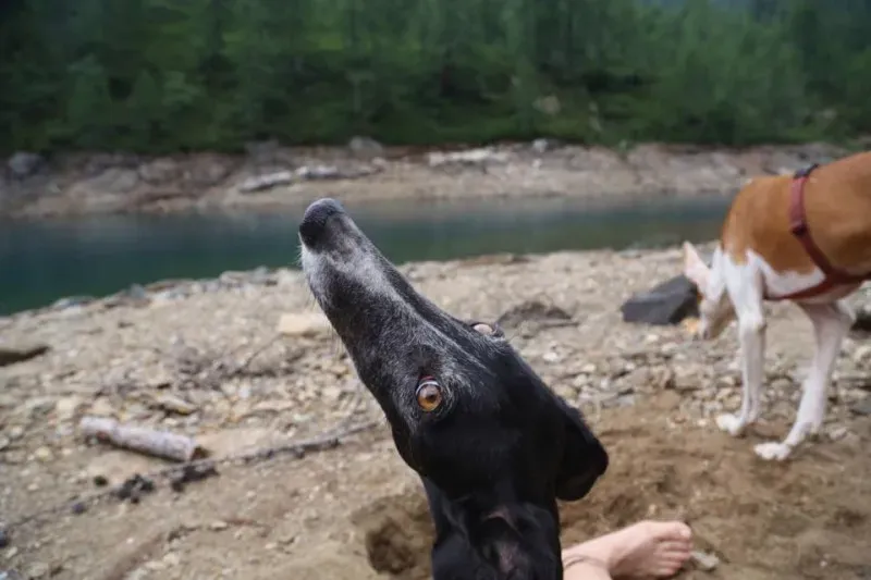 11707579 852883831462140 8844185863488463933 n