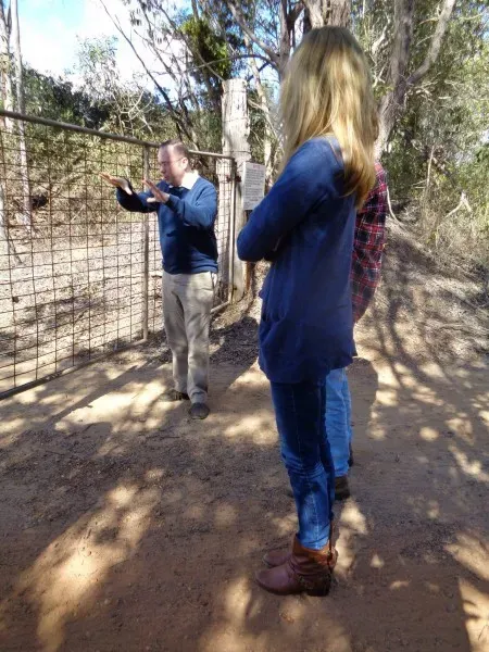 11708004 10153033486458354 1974933312319217922 o