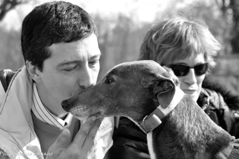 11709536 860155940734929 8549624752155972634 n