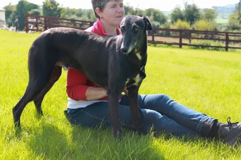 11709571 905010409590563 1204149170984557985 n