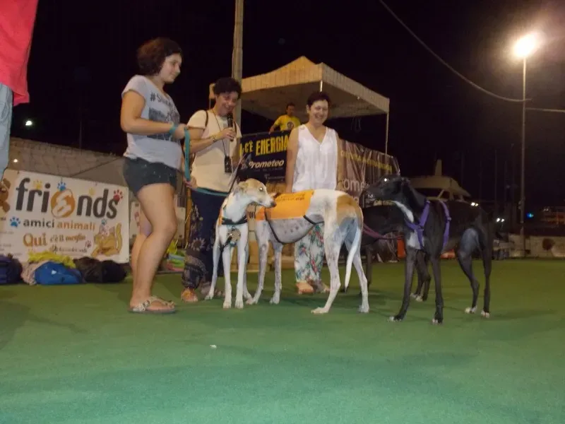 11709933 10203317929509231 2414031592296589677 o