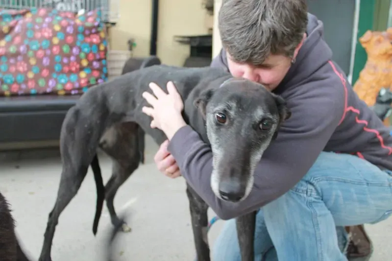 11713272 10152812683890194 1829803274 o