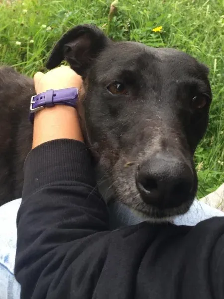 11713394 924005014327191 566668199 n