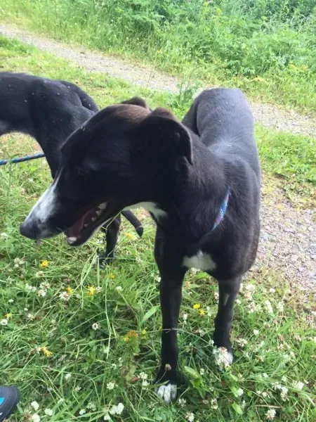 11713401 924007150993644 2131742921 n