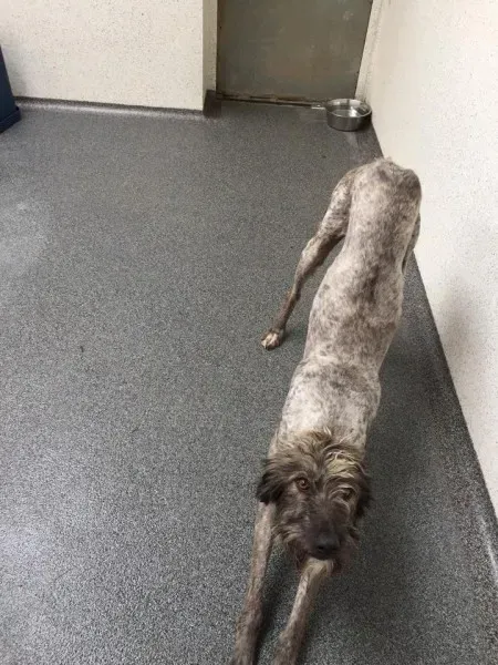 11713431 924007944326898 1967001176 n