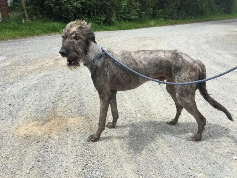 11713431 924008094326883 42733099 n