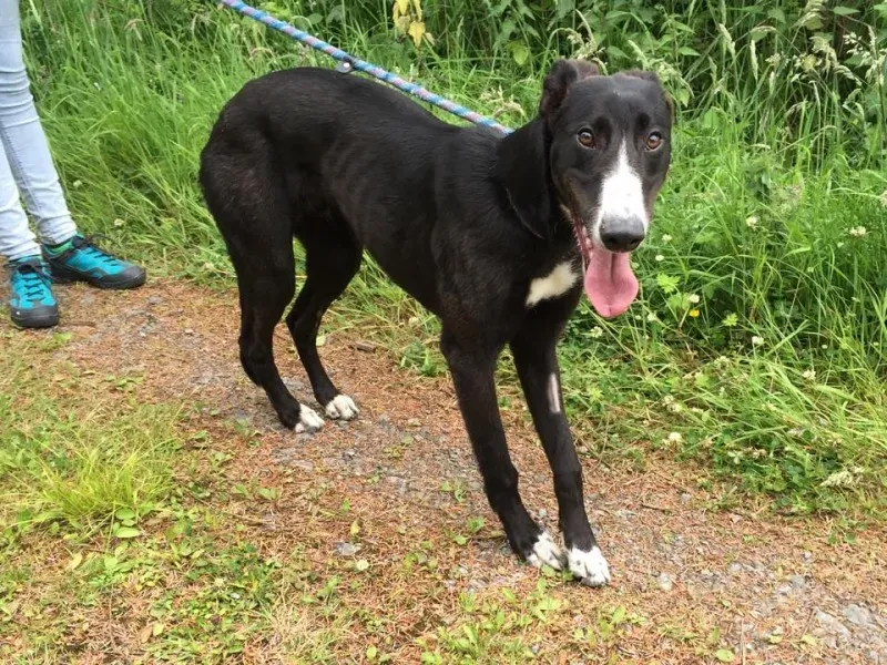 11713469 924007234326969 1956867896 n