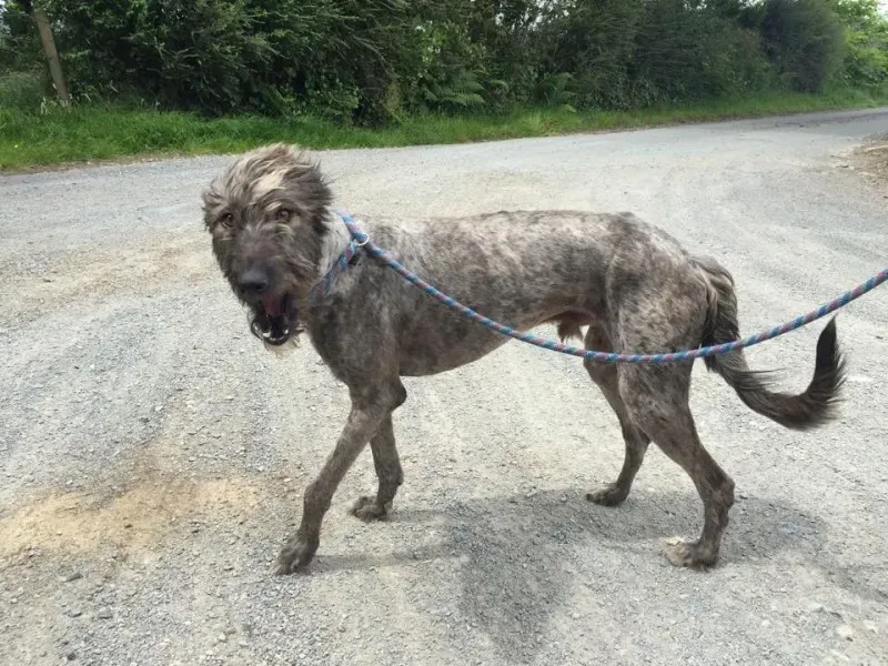 11713497 924008107660215 243866035 n