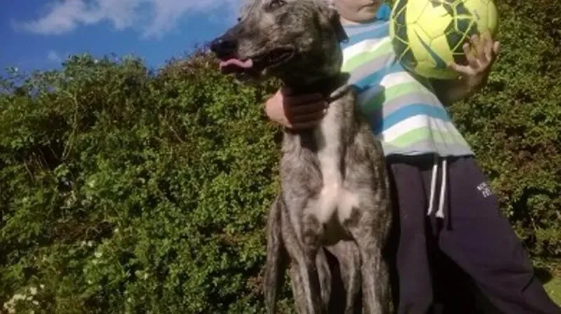 11713587 10152803652490194 1102294933 n