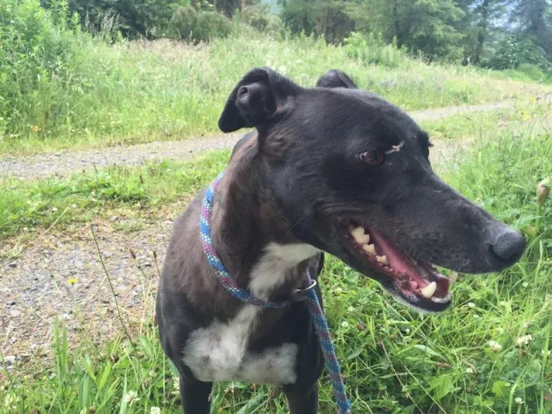 11713618 924004940993865 1892326358 n