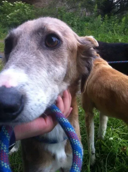 11714258 1647021935512504 1405700261 n