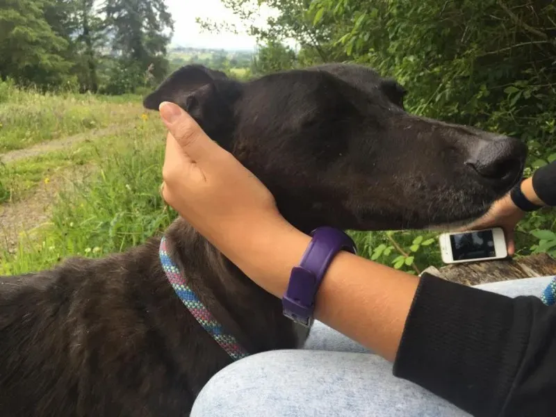 11714275 924005164327176 643548559 n