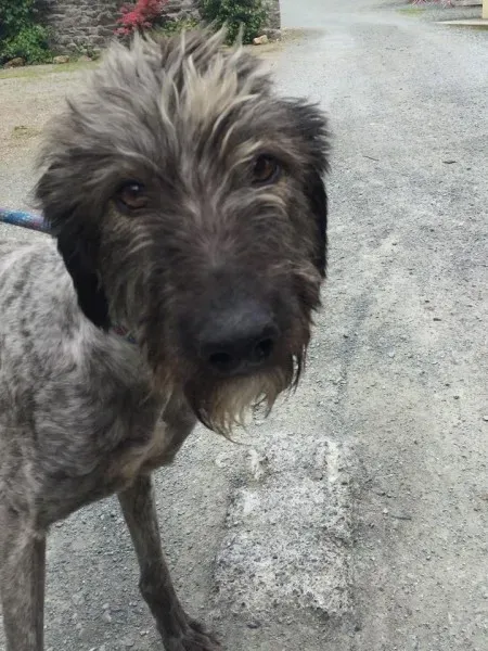 11714327 924008030993556 1723977040 n