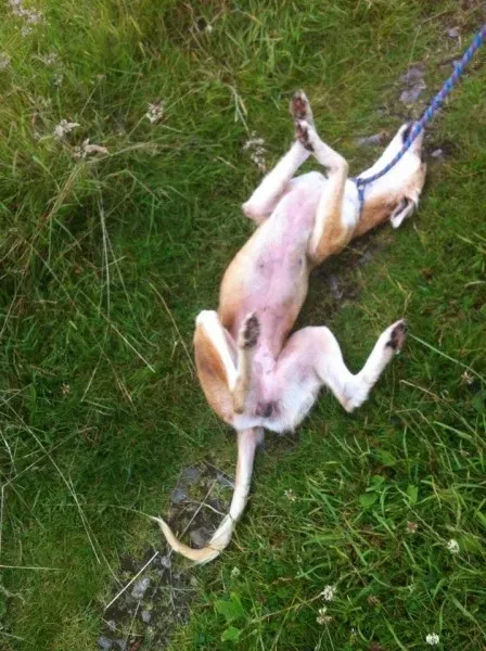 11714368 1647021625512535 1518812194 n