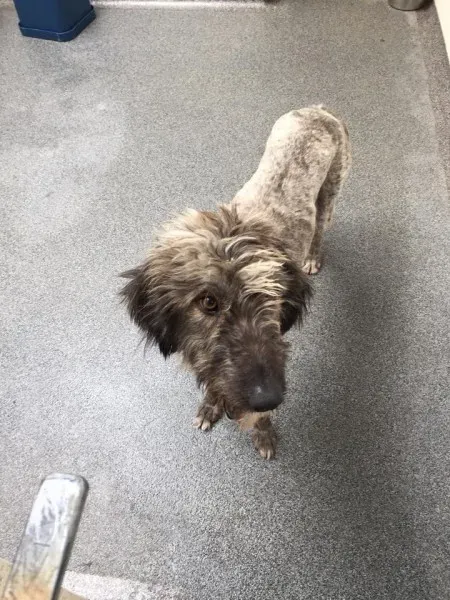 11714386 924007984326894 1791025825 n