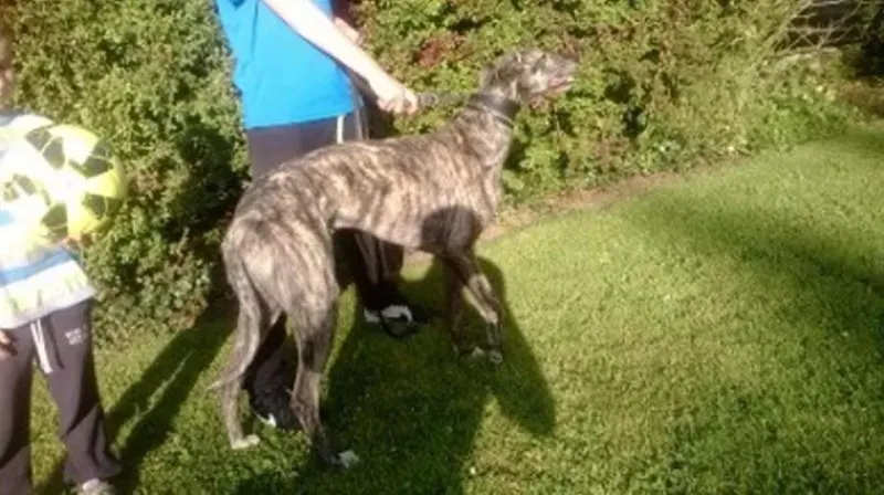 11714464 10152803652575194 741352895 n