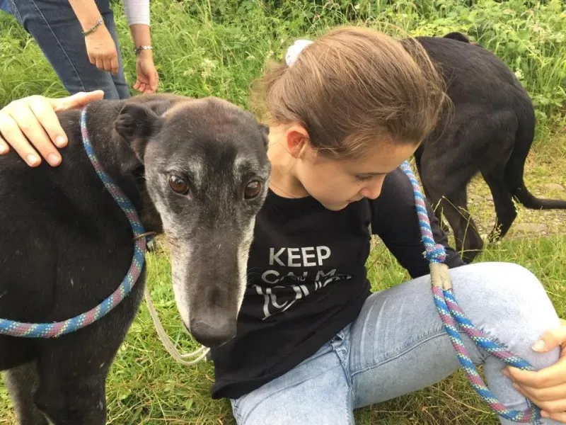 11715903 924005790993780 452284618 n