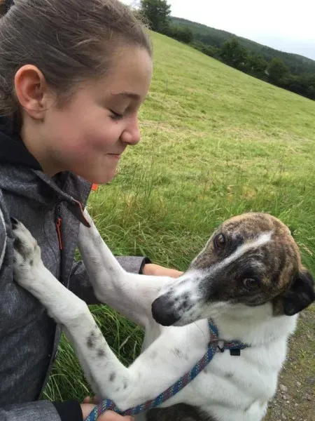 11715906 924581004269592 1753455665 n