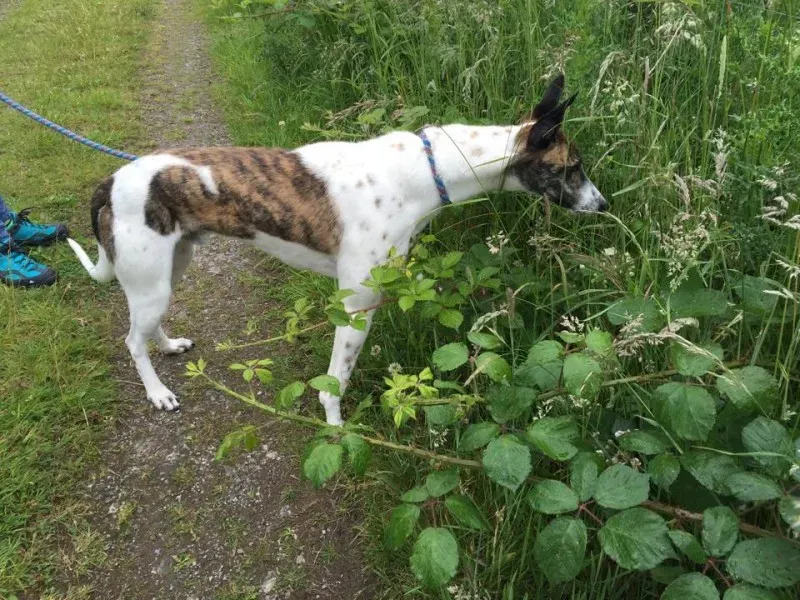 11715925 924581034269589 1155667676 n