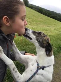 11715933 924580987602927 1394112497 n