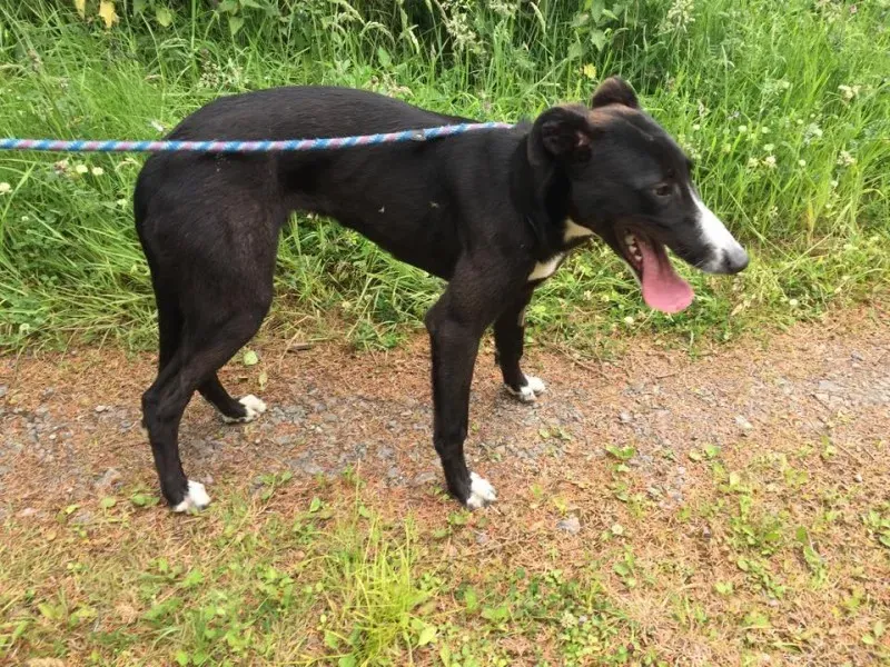 11715934 924007214326971 451089237 n