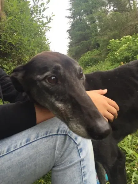 11715988 924005714327121 1507419255 n