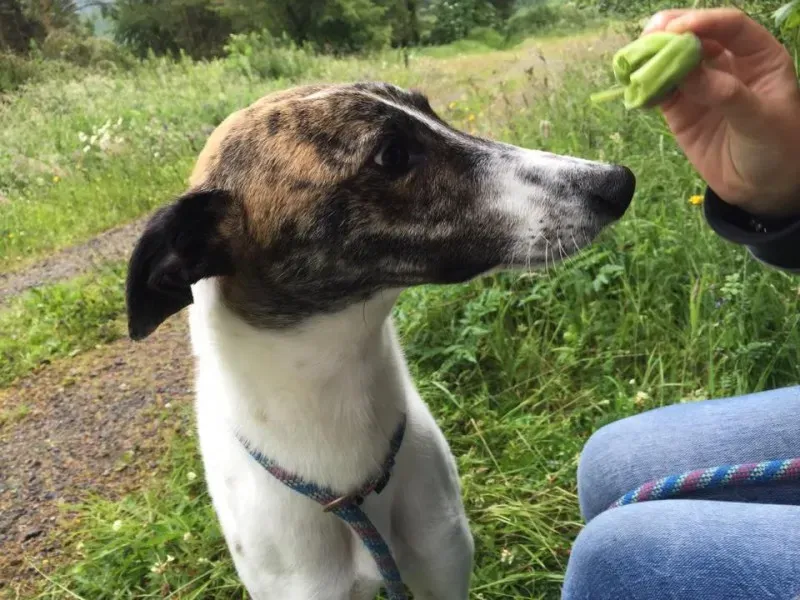 11716055 924581114269581 573295941 n