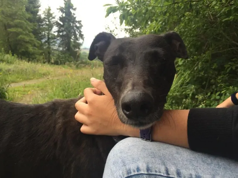 11717036 924005147660511 437848805 n