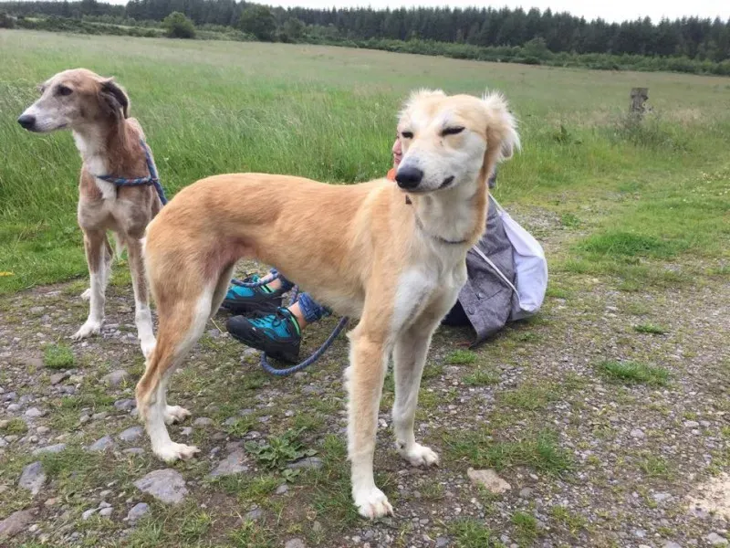 11717047 924575584270134 465689627 n