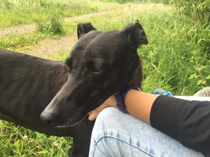 11717161 924005107660515 1620192772 n