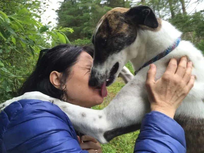 11717198 924581170936242 848529689 n