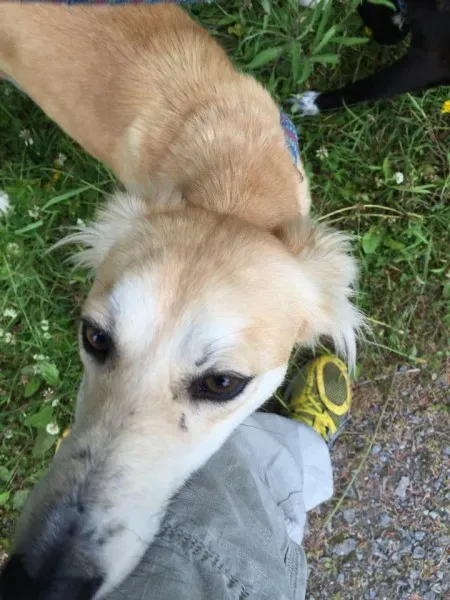 11717224 924574944270198 755629275 n