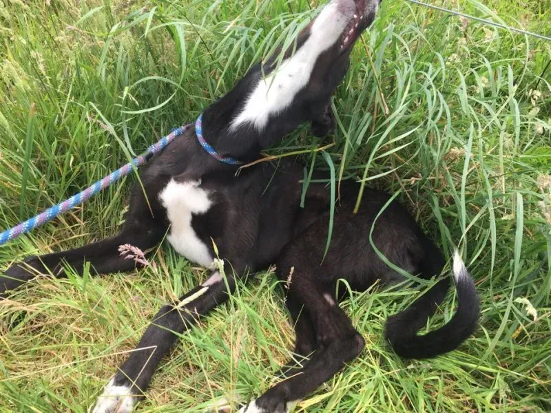 11717245 924007124326980 1330091903 n