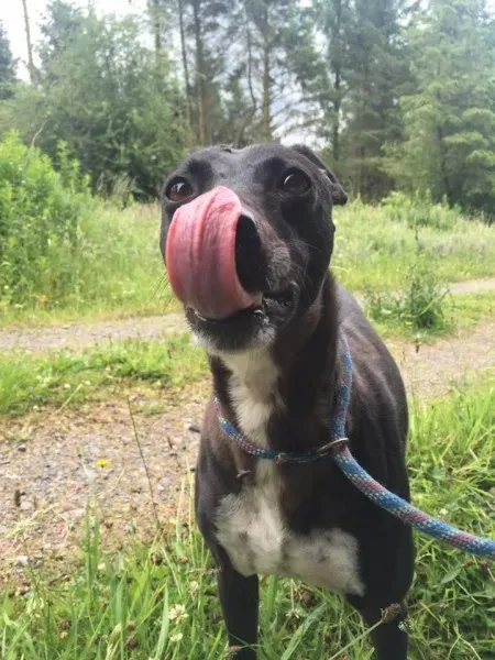 11717271 924004947660531 810878532 n