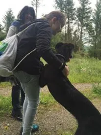 11717271 924007174326975 2059342793 n