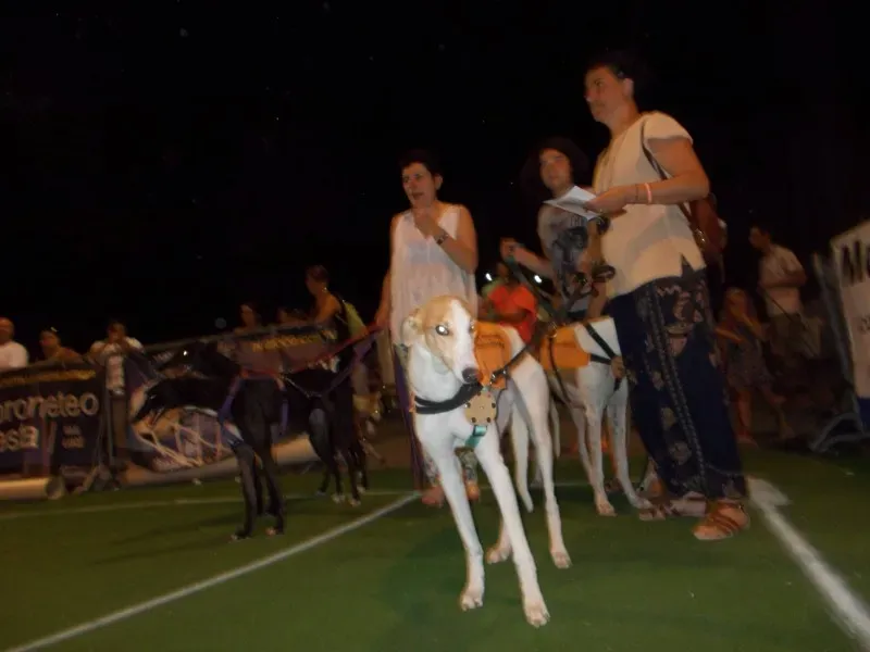 11717432 10203316972045295 8020239164272563037 o