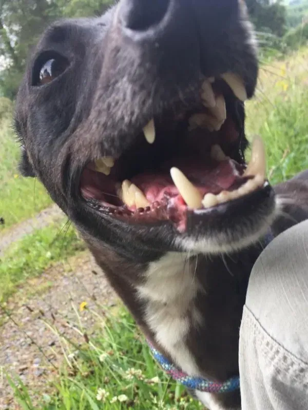 11719820 924004957660530 2060408368 n e1436721832311