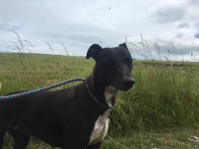 11719826 924004324327260 1499465432 n