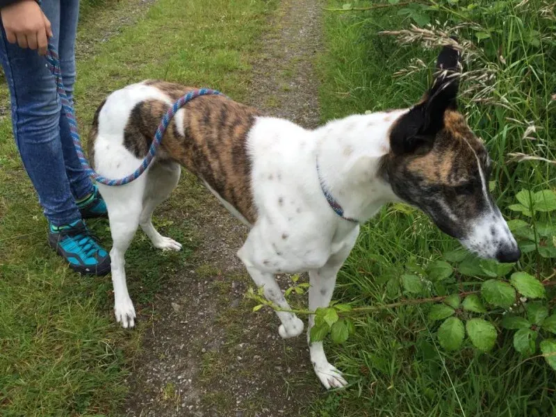 11719834 924581027602923 917717357 n