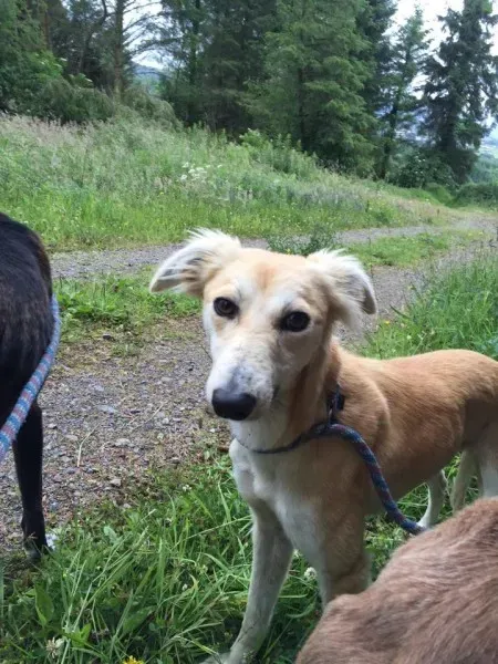 11719879 924574954270197 1858481215 n