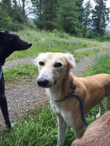 11719940 924575304270162 165657119 n