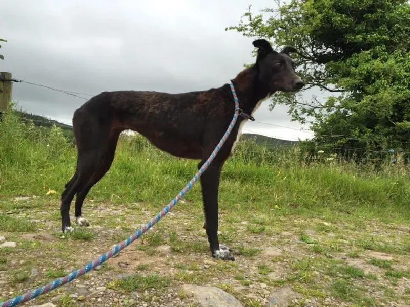 11719953 924579610936398 1452016652 n