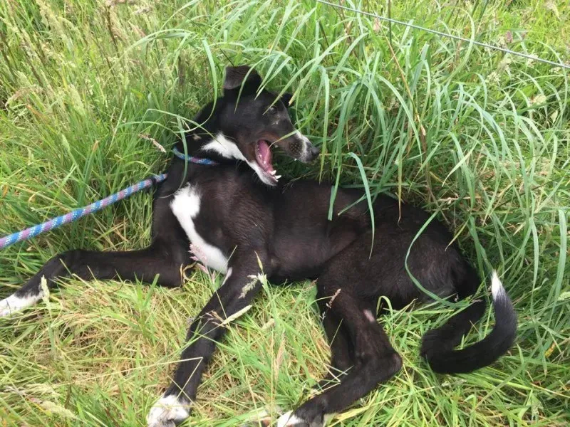 11719990 924007110993648 986469022 n