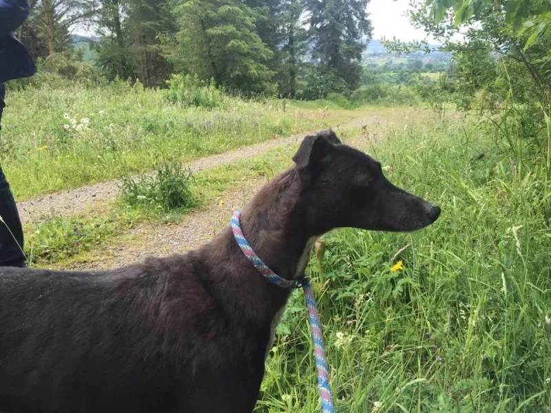 11720459 924004390993920 921437644 n